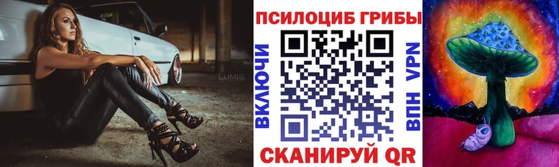 Псилоцибиновые грибы ЛСД  Новомосковск 