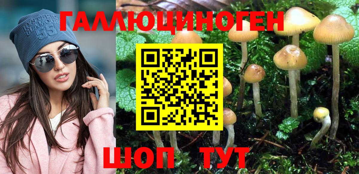 Псилоцибиновые грибы мицелий  Вход с VPN  Новомосковск  Галлюциногенные грибы Psilocybe 