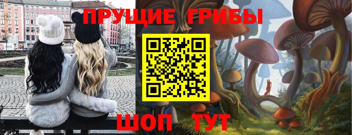 Галлюциногенные грибы Psilocybine cubensis Новомосковск